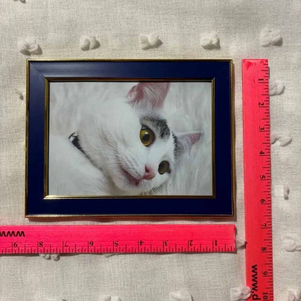 Source Unknown cats handmade